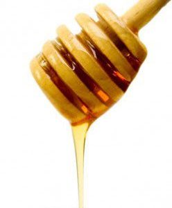 Honey Dipper